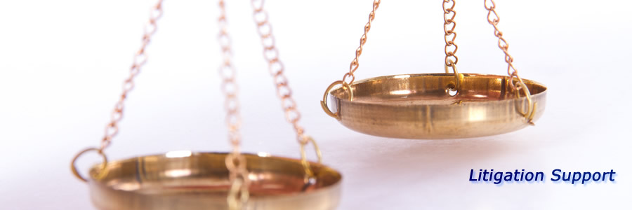 Litigation Support
